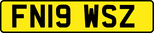 FN19WSZ