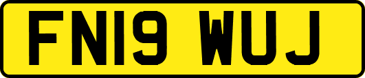 FN19WUJ