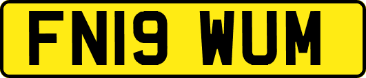 FN19WUM