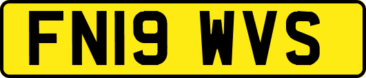 FN19WVS