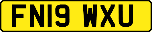 FN19WXU