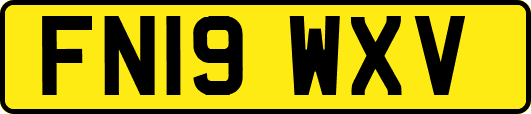 FN19WXV