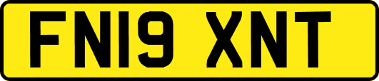 FN19XNT