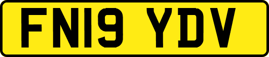 FN19YDV