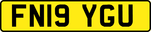 FN19YGU