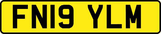 FN19YLM