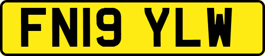 FN19YLW