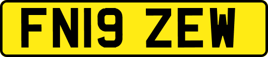 FN19ZEW