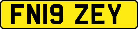 FN19ZEY
