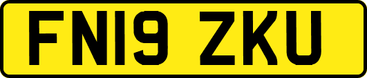 FN19ZKU