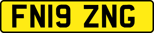 FN19ZNG