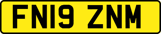 FN19ZNM