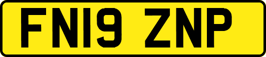 FN19ZNP