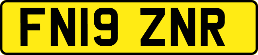 FN19ZNR