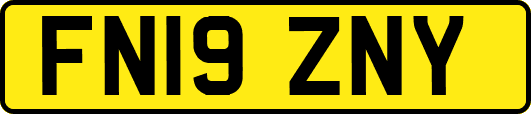 FN19ZNY