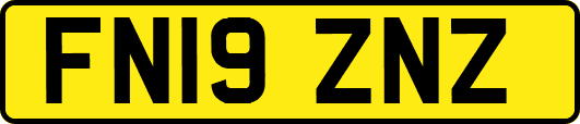 FN19ZNZ
