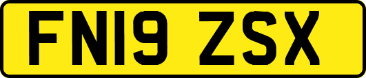 FN19ZSX