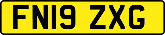 FN19ZXG
