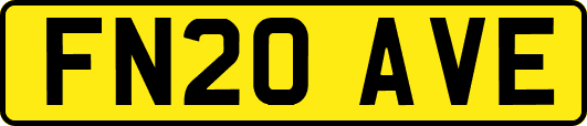 FN20AVE