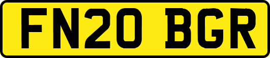 FN20BGR