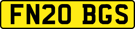 FN20BGS