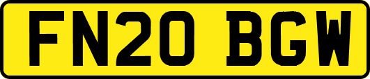 FN20BGW