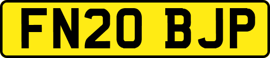 FN20BJP
