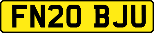 FN20BJU