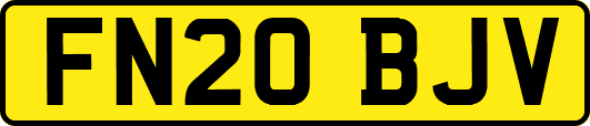 FN20BJV
