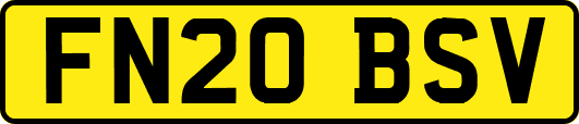 FN20BSV