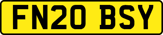 FN20BSY
