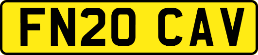 FN20CAV