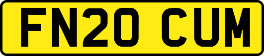 FN20CUM