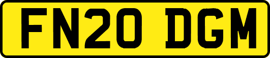 FN20DGM