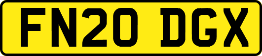 FN20DGX
