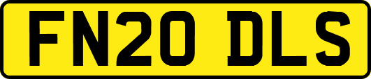 FN20DLS