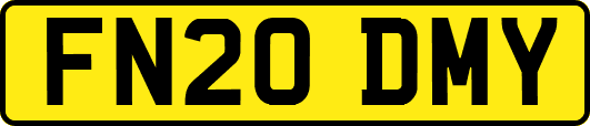 FN20DMY