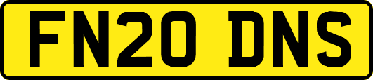 FN20DNS