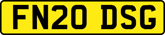 FN20DSG