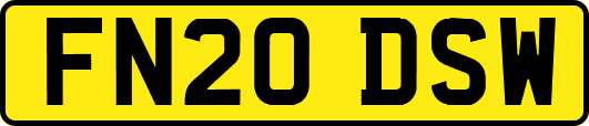 FN20DSW