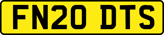FN20DTS