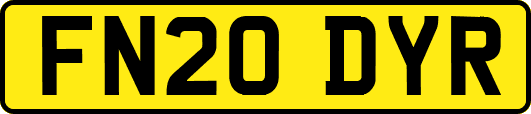 FN20DYR