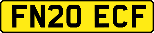 FN20ECF