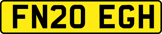 FN20EGH