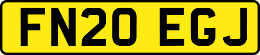 FN20EGJ