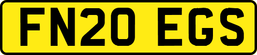 FN20EGS