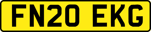 FN20EKG