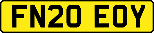 FN20EOY