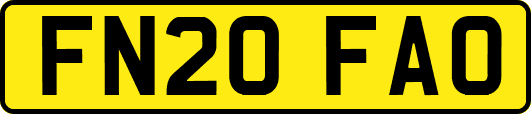 FN20FAO