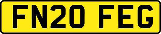 FN20FEG